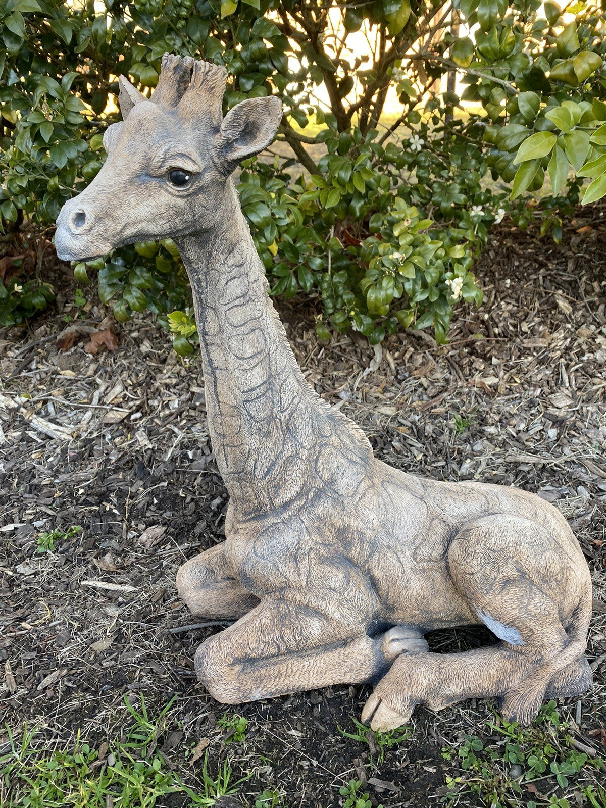 Giraffe African Animal Statue Ornament Animal Concrete Garden Australian Made