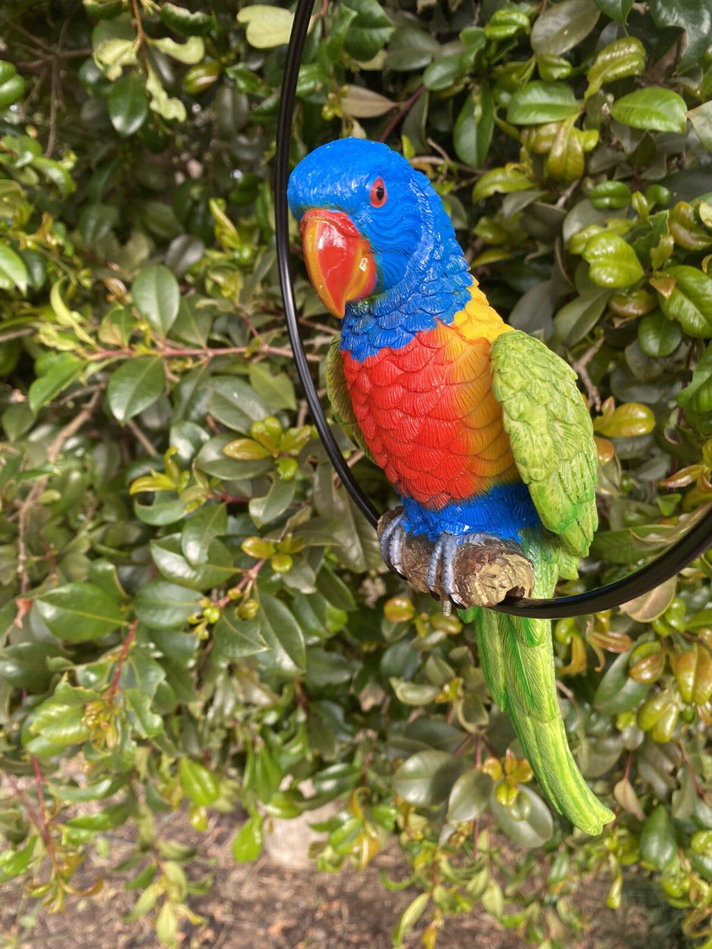 Australian Rainbow Lorikeet Bird in Ring Birds Statue Garden Ornament Decor 22cm
