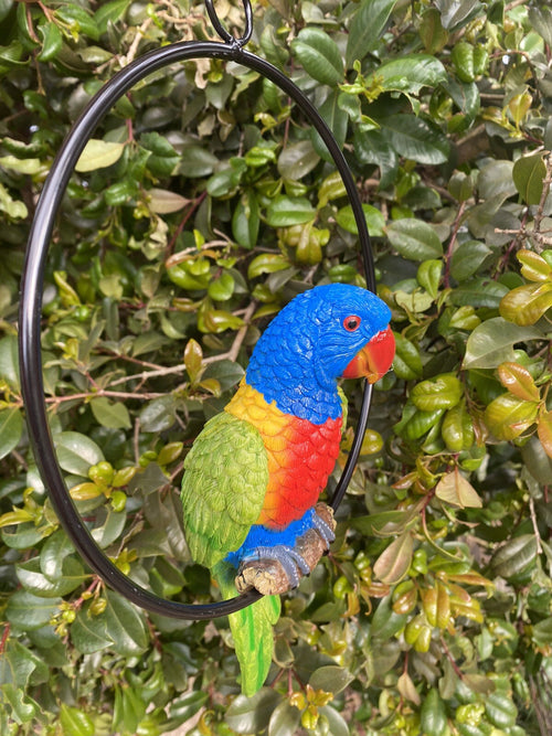 Australian Rainbow Lorikeet Bird in Ring Birds Statue Garden Ornament Decor 22cm