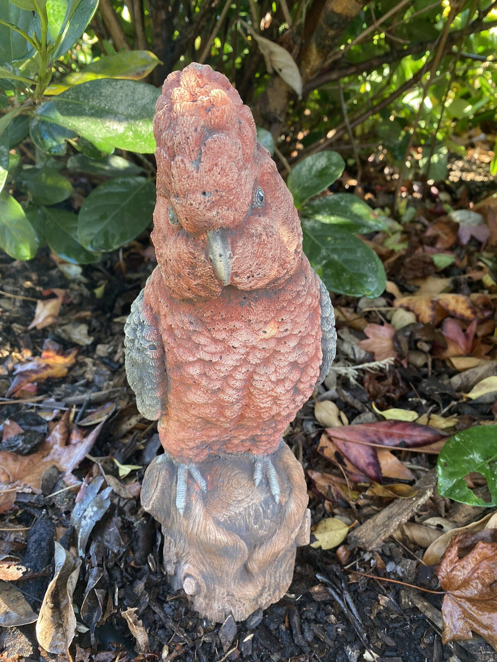 Galah Bird Statue Parrot Ornament Animal Concrete Garden Australian Made