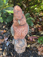 Galah Bird Statue Parrot Ornament Animal Concrete Garden Australian Made