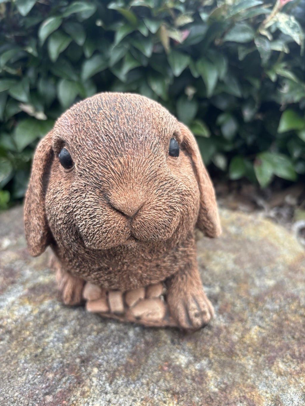 Australian Made Concrete Mini Lop Rabbit Garden Statue – Outdoor Garden Ornament