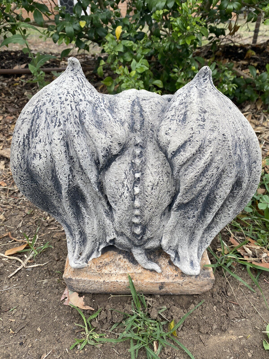 Gargoyle Garden Statue Medieval Ornament Animal Concrete Australian Made Grey