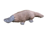 Platypus Statue Ornament Animal Concrete Cement Garden Australian Made Large Brn