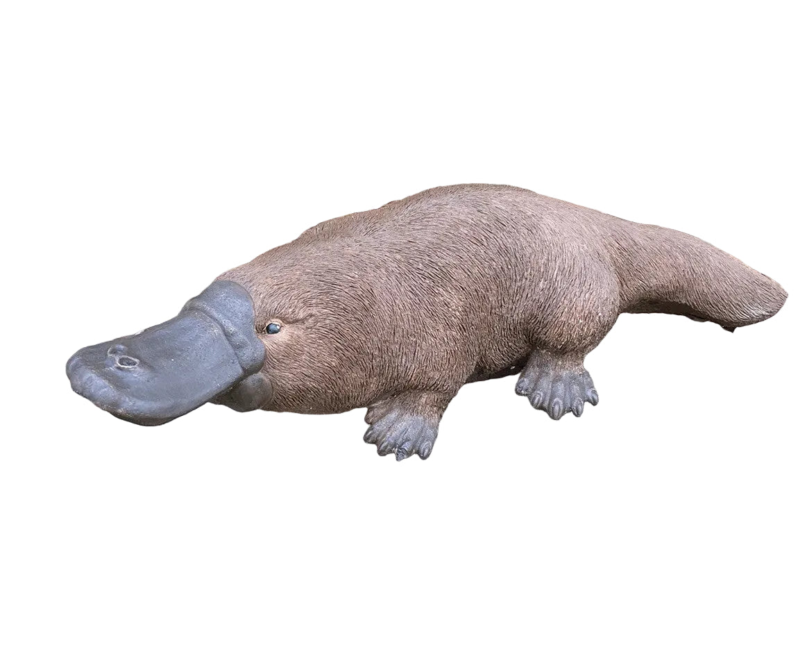 Platypus Statue Ornament Animal Concrete Cement Garden Australian Made Large Brn