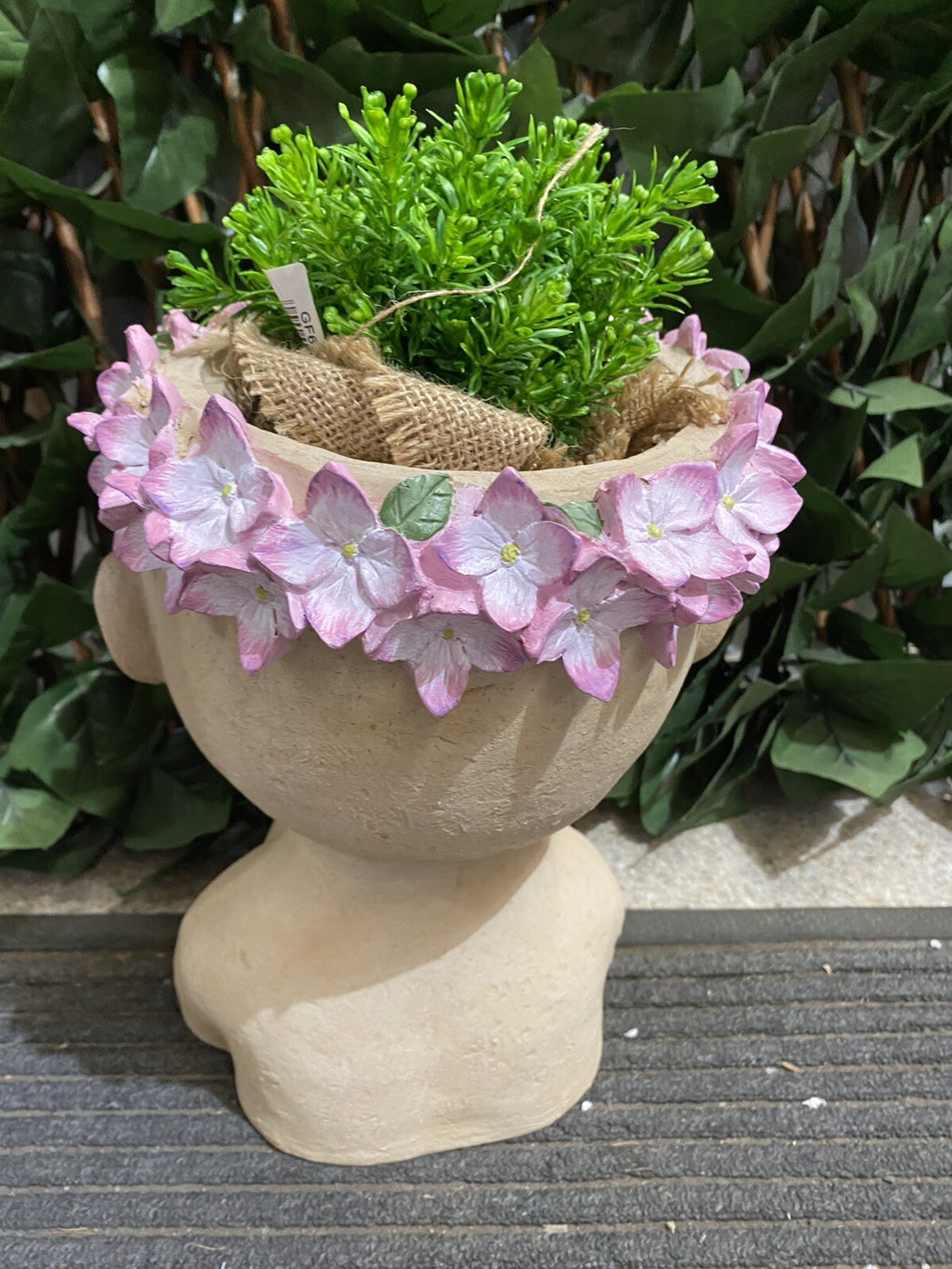 Hydrangea Girl Head Planter Pot for Succulents Cactus Indoor Plants Eyes Open