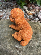 CAVOODLE SPOODLE POODLE STATUE APRICOT PUPPY DOG ANIMAL GARDEN ORNAMENT