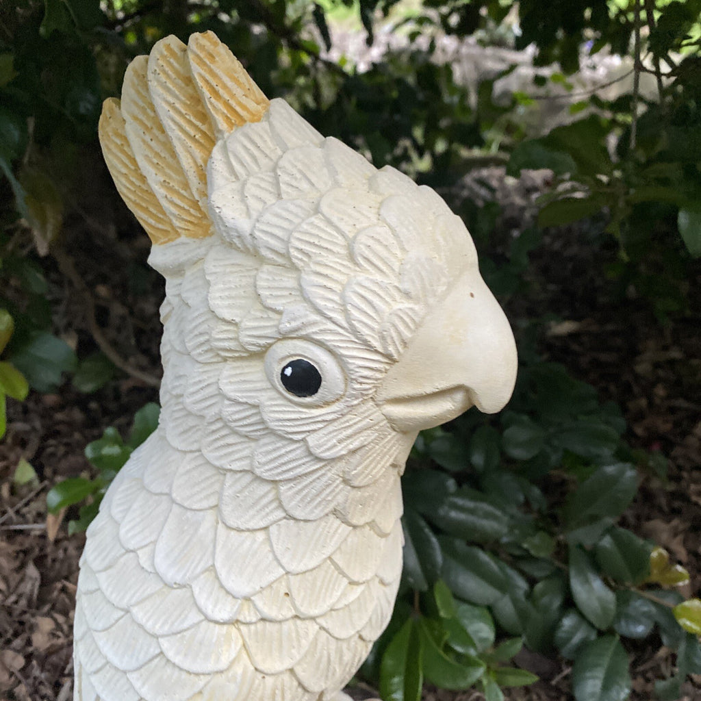 Sulfa Crested Cockatoo Statue Ornament Animal Concrete Garden Australian Made