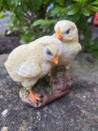 Chicks Chicken Poultry Statue Ornament Figurine