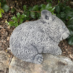 Australian Wombat Statue Ornament Animal Concrete Cement Garden Australian Made