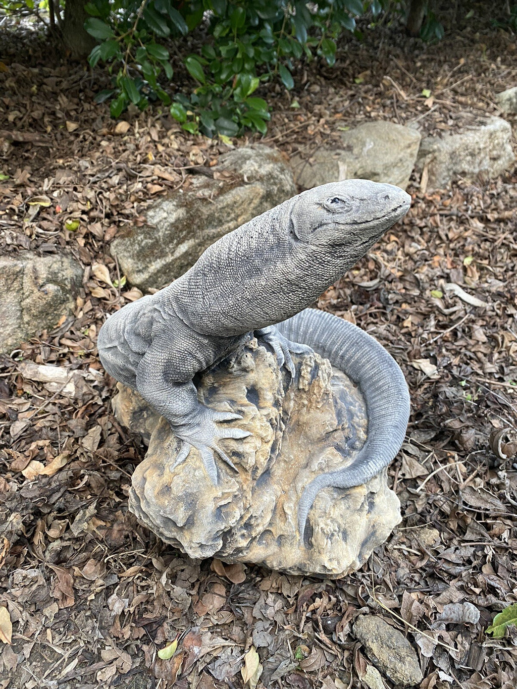 Goanna Basking Lizard tatue Ornament Animal Concrete Garden Australian Made