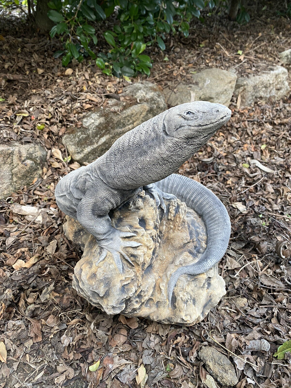 Goanna Basking Lizard tatue Ornament Animal Concrete Garden Australian Made