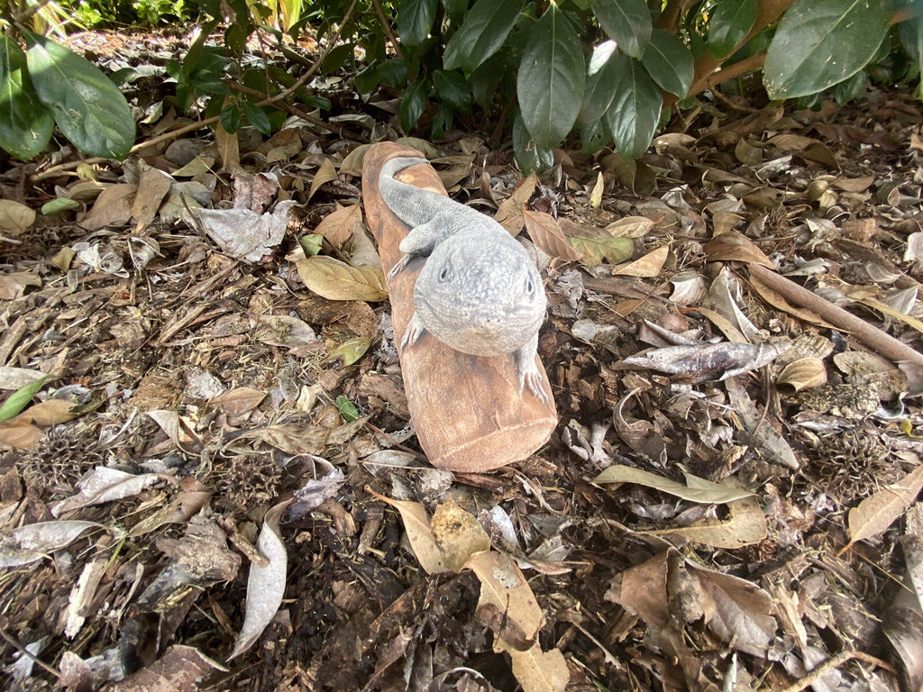 Bearded Dragon Lizard Statue Ornament Animal Concrete Garden Australian Made