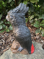 Red Tail Black Cockatoo Statue Ornament Animal Concrete Garden Australian Made