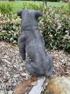BLUE STAFFORDSHIRE -STAFFY PUPPY DOG ANIMAL GARDEN STATUE ORNAMENT FIGURINE