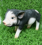 PIG STANDING MINI FARM ANIMAL GARDEN STATUE ORNAMENT FIGURINE BLACK AND WHITE