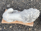 Guardian Lion Pair Statue Concrete Cement Garden Statue Australian Made