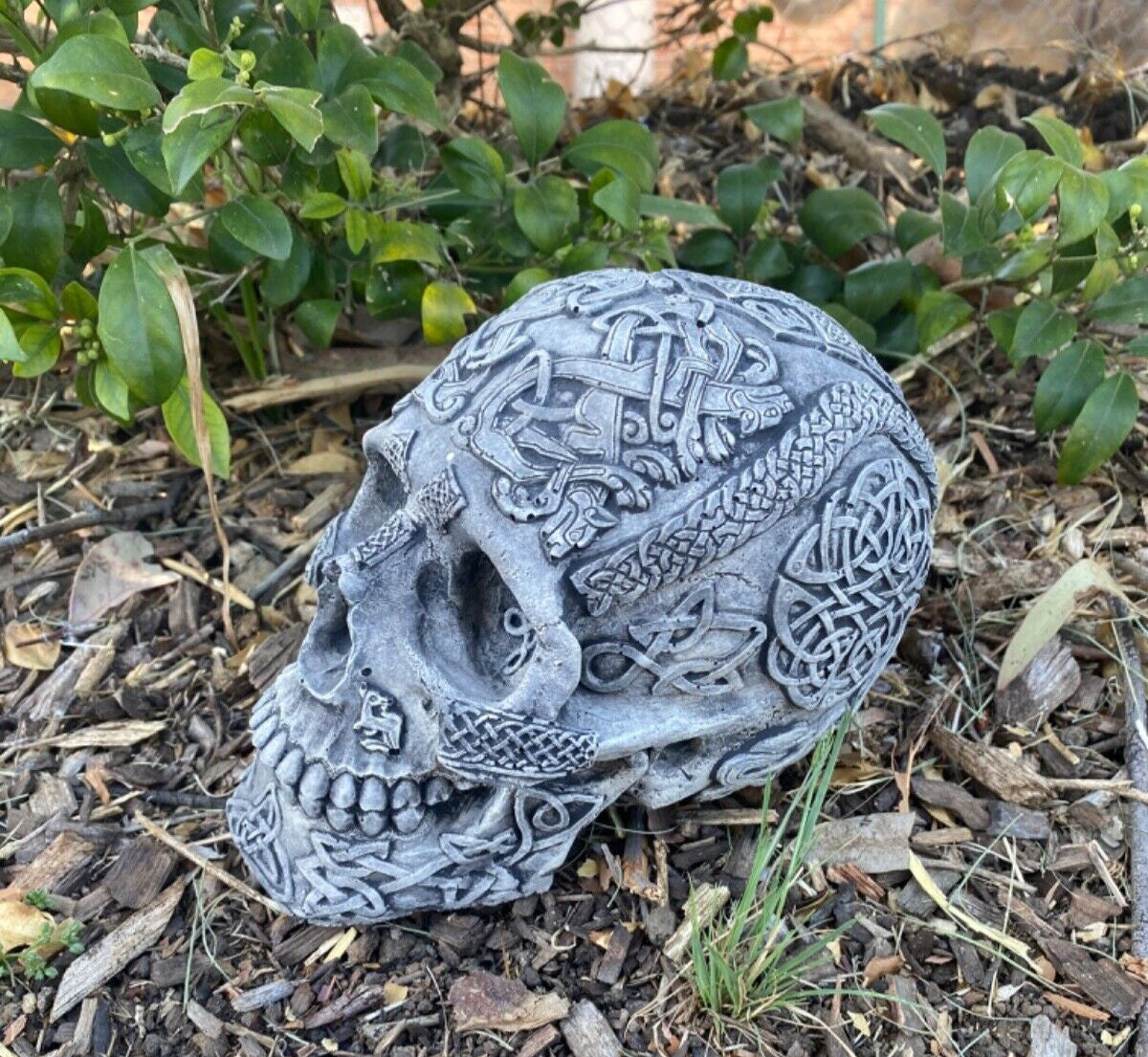 Skull Statue Ornament Animal Concrete Cement Garden Australian Made