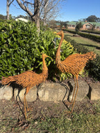 Large Rustic Metal Emu Set Garden Statues Australian Outdoor Garden Ornaments