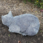 Cat Kitten Tabby Memorial Statue Ornament Animal Concrete Garden Australian Made