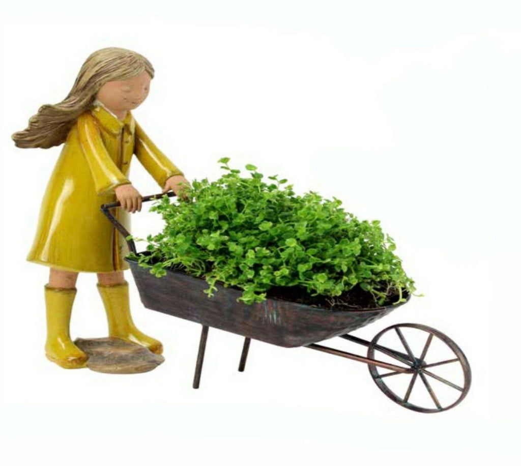 MOLLY WHEEL BURROW POT PLANTER GARDEN PLANT POT FEATURE