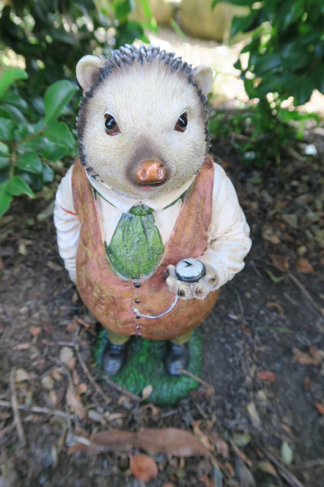 Willow Porcupine Statue With Pocket Watch in Hand Garden Statue lawn Ornament