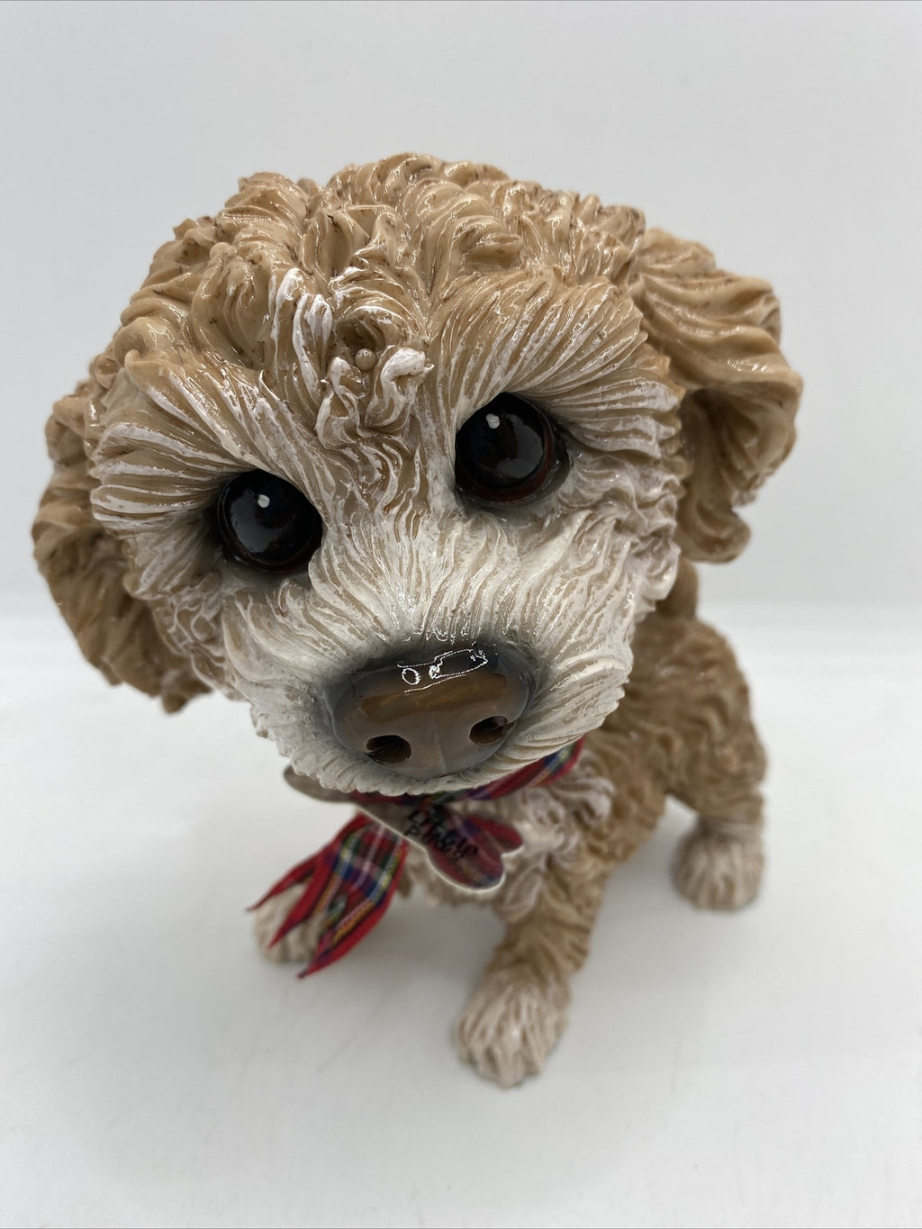 Little Paws - Mollie The Cavachon Poodle Cross Cavoodle Pets With Personality
