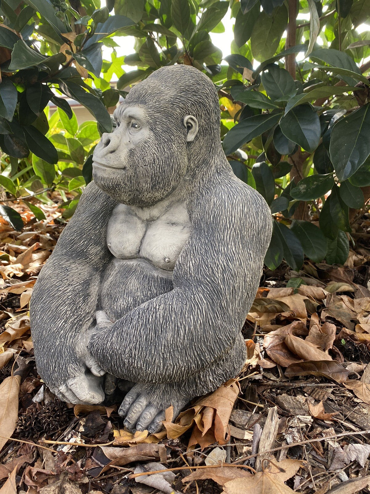 Gorilla Ape Monkey Statue Ornament Animal Concrete Cement Garden Australian Made