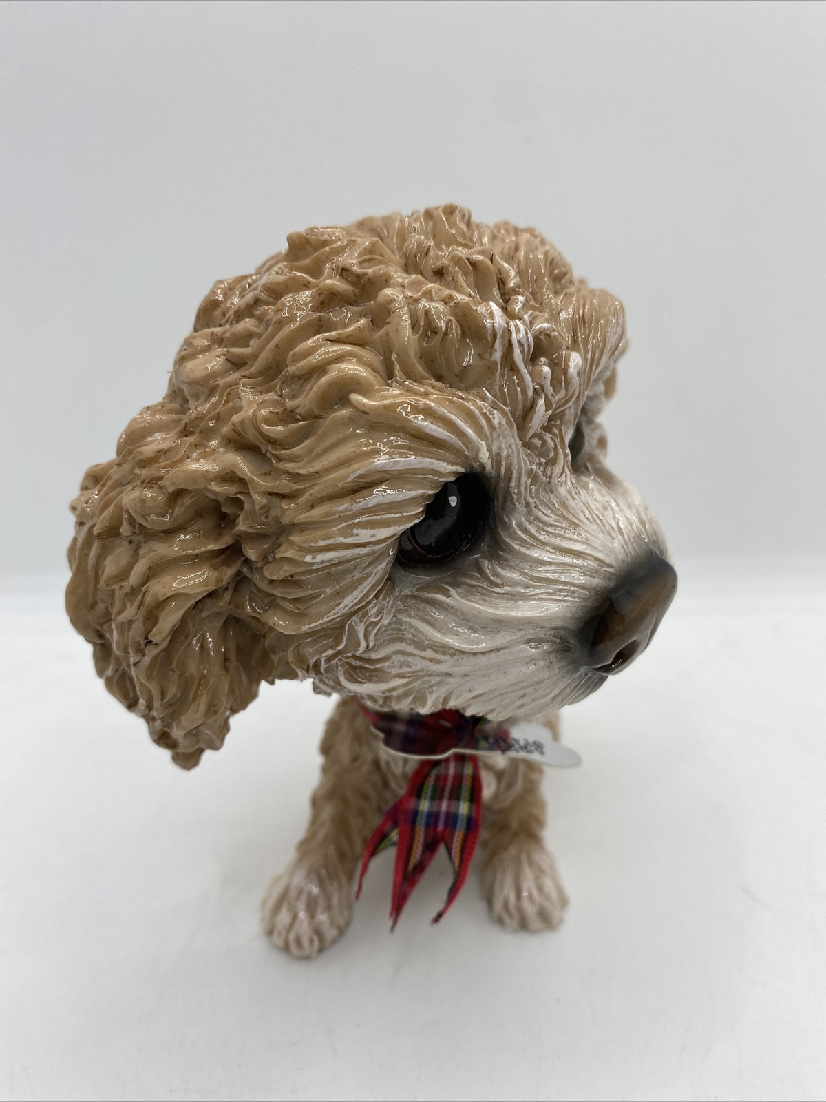 Little Paws - Mollie The Cavachon Poodle Cross Cavoodle Pets With Personality