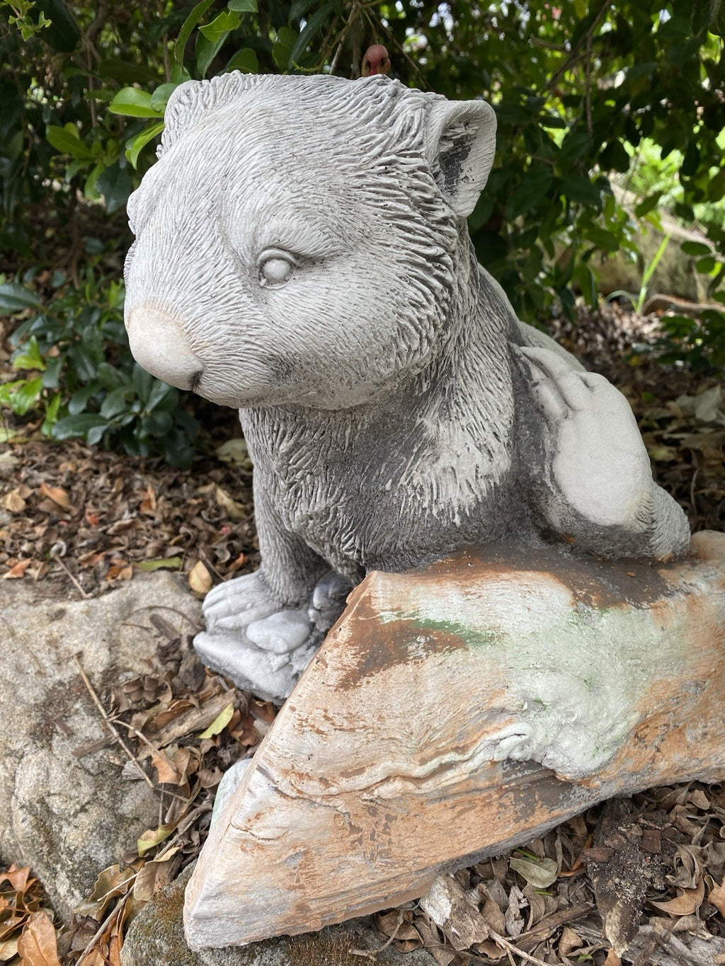AUSTRALIAN SCRATCHING WOMBAT ANIMAL CONCRETE GARDEN STATUE ORNAMENT FIGURINE