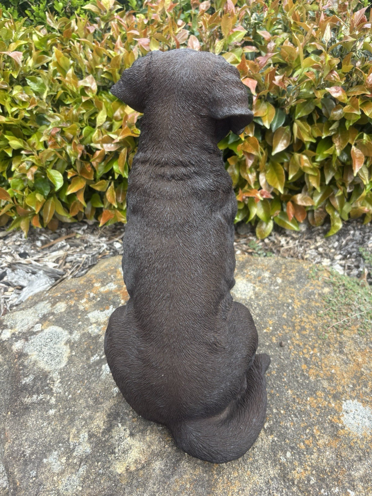Resin Chocolate Labrador Dog Statue Garden Ornament Sitting Puppy