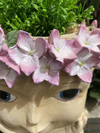 Hydrangea Girl Head Planter Pot for Succulents Cactus Indoor Plants Eyes Open