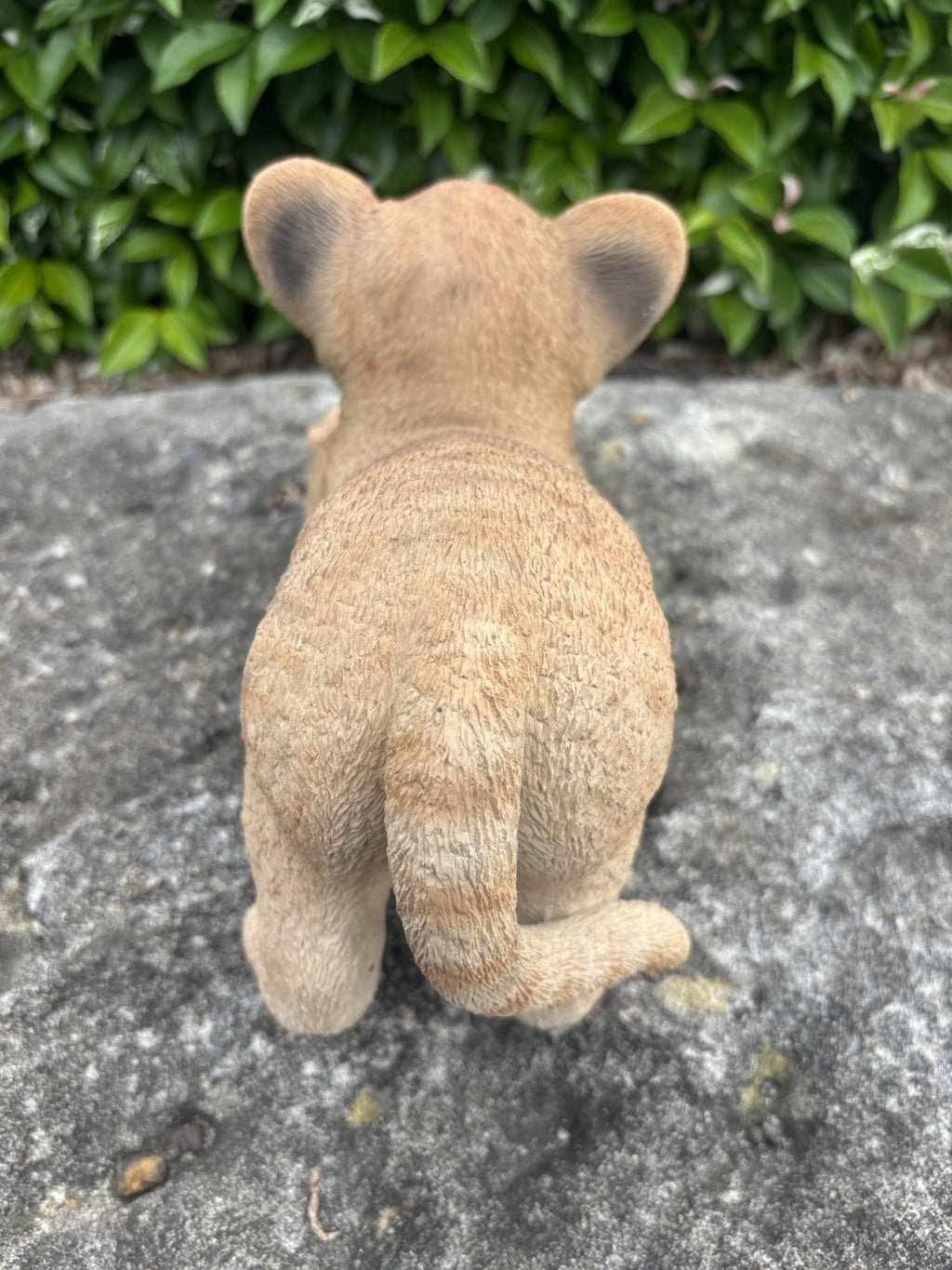 Lion Lioness Cub African Animal Statue Garden Ornament Home Decor  Figurine