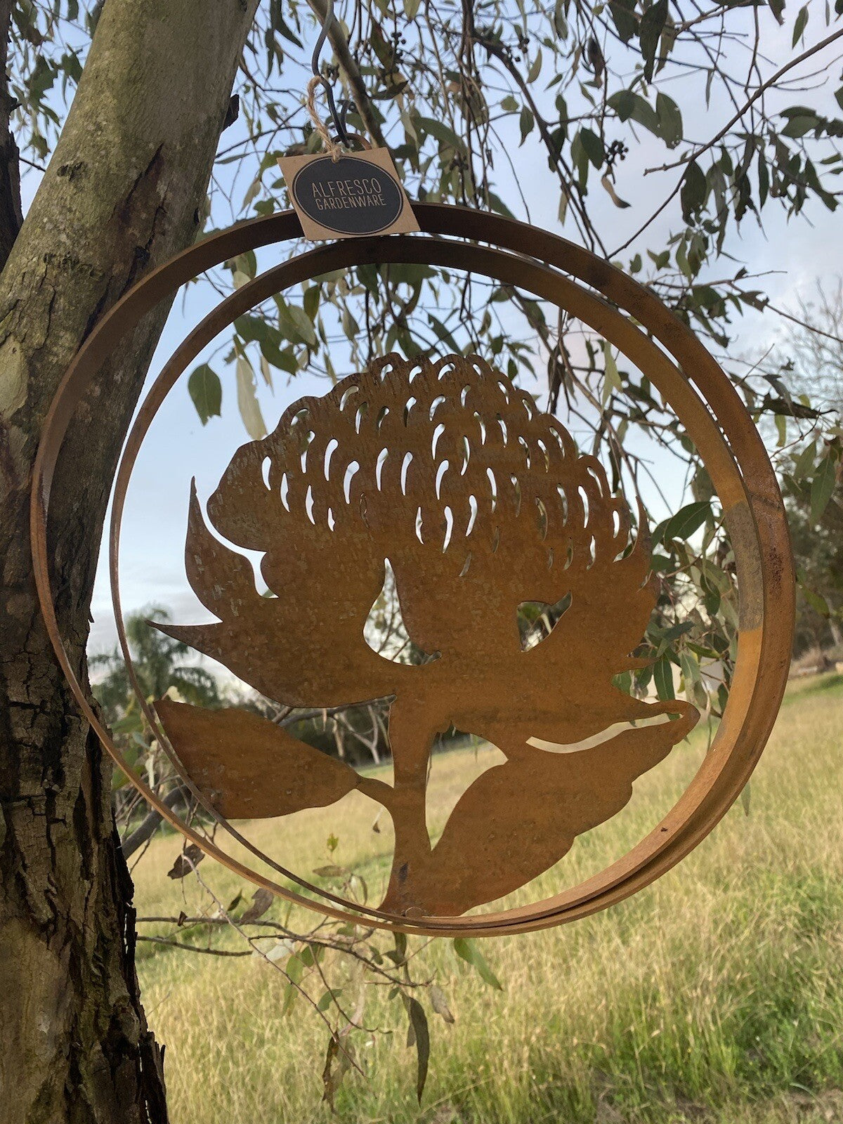 Australian Waratah Flower Round Rust Corten Steel Metal Hanging Double Ring 34cm
