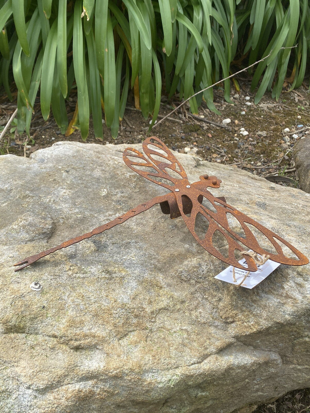 Dragonfly Metal Garden Art Rusty Wall Décor 40cm