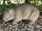 AUSTRALIAN STANDING WOMBAT ANIMAL GARDEN STATUE ORNAMENT FIGURINE