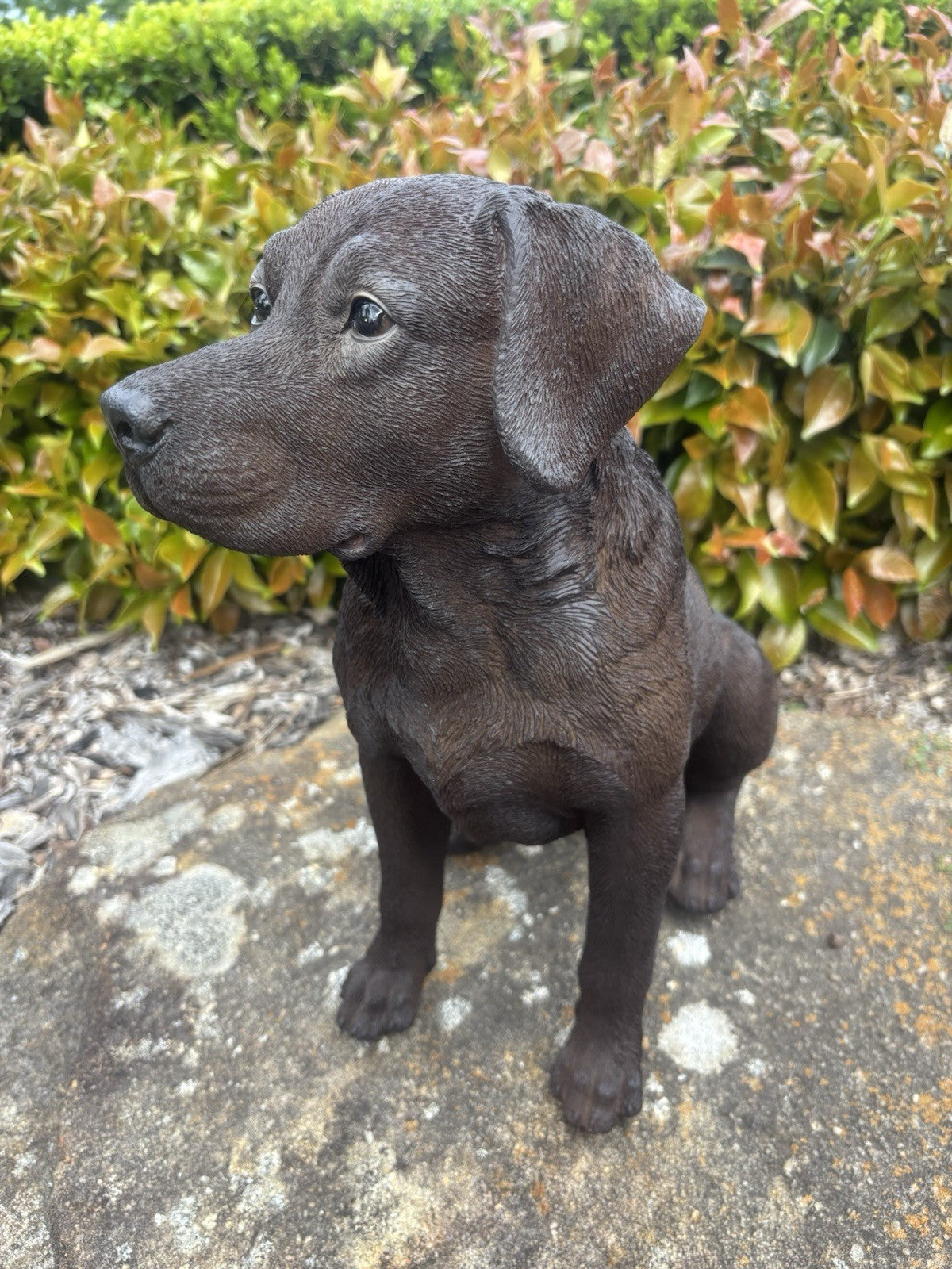 Resin Chocolate Labrador Dog Statue Garden Ornament Sitting Puppy