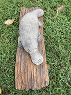 Platypus On A LogStatue Ornament Animal Concrete Cement Garden Australian Made