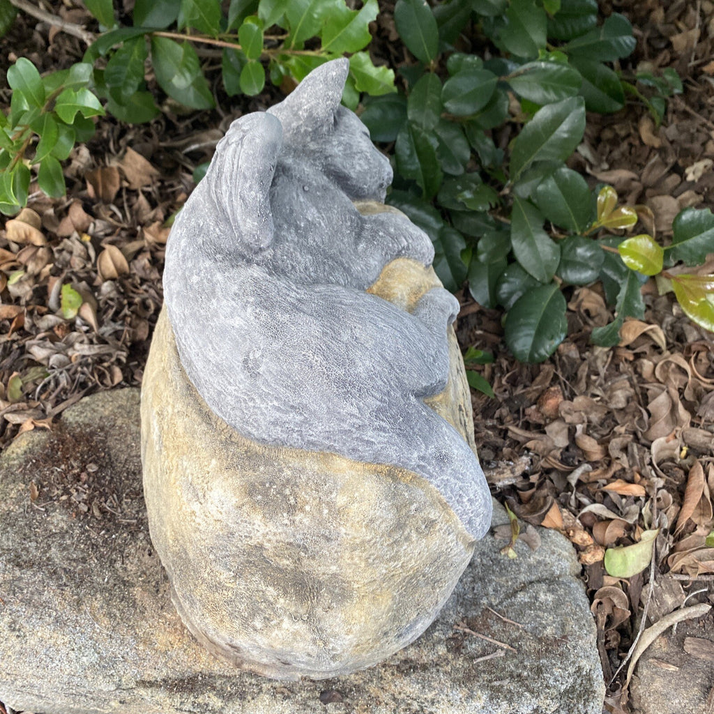 Cat Kitten Memorial Statue Ornament Animal Concrete Cement Garden Australia Made