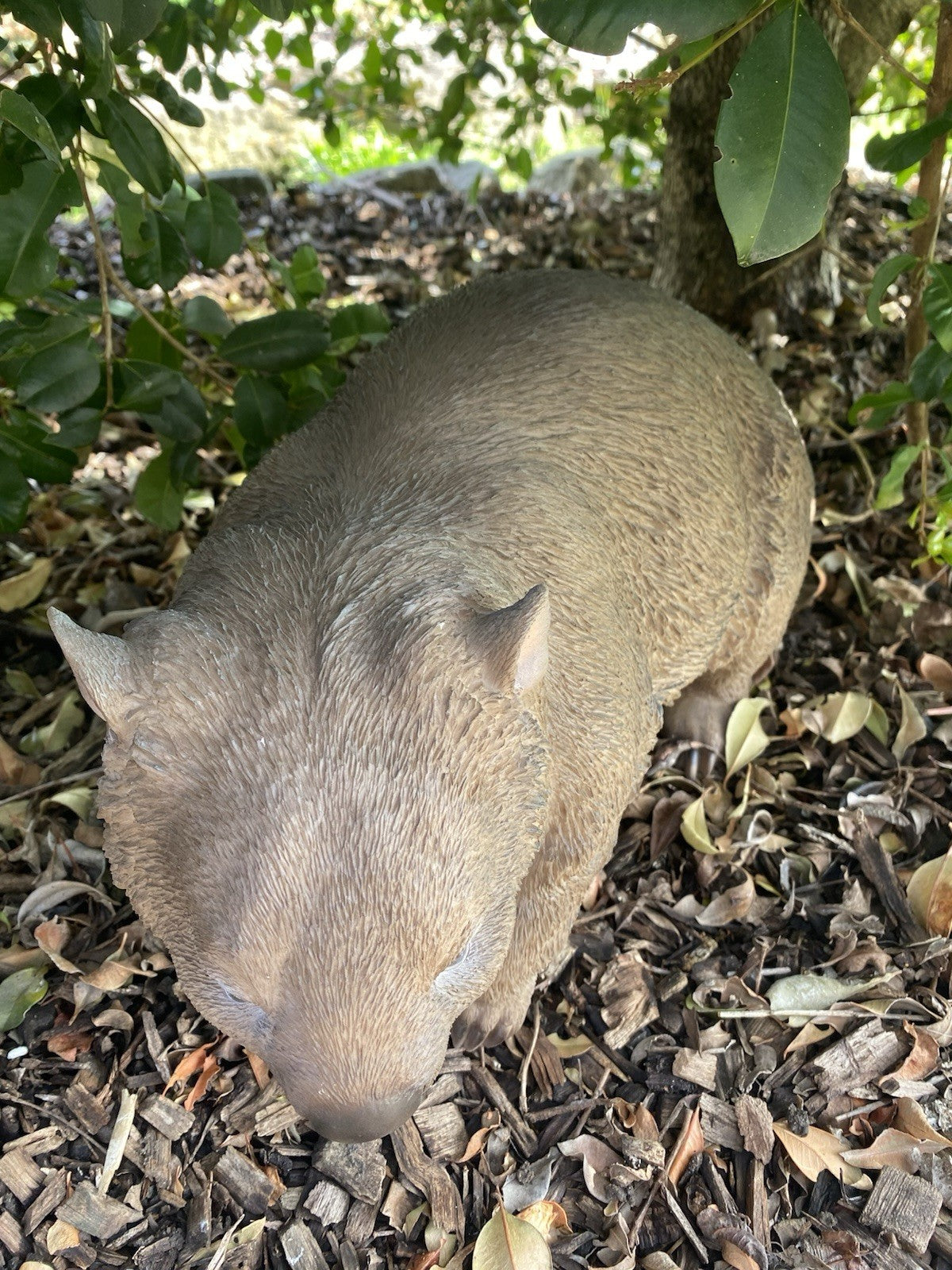 AUSTRALIAN STANDING WOMBAT ANIMAL GARDEN STATUE ORNAMENT FIGURINE