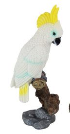 Sulfa Crested Cockatoo on a Branch White Bird Garden Ornament Statue Gift 32cm