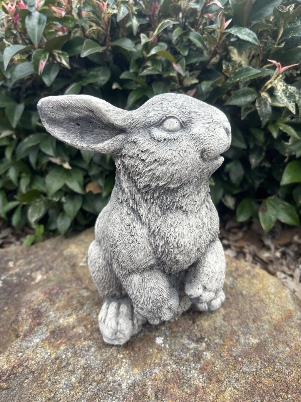 Australian Made Concrete Twin Rabbits Garden Statue | Standing & Laying Bunny