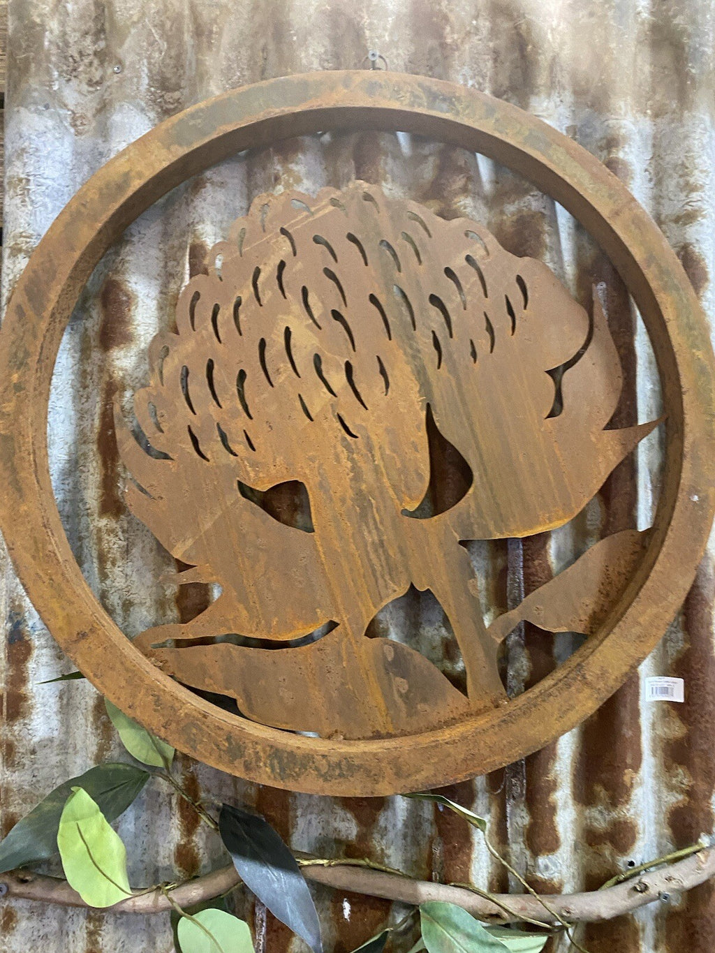 Australian Native Waratah Garden Flower Round Rust Corten Metal Wall Art 60cm