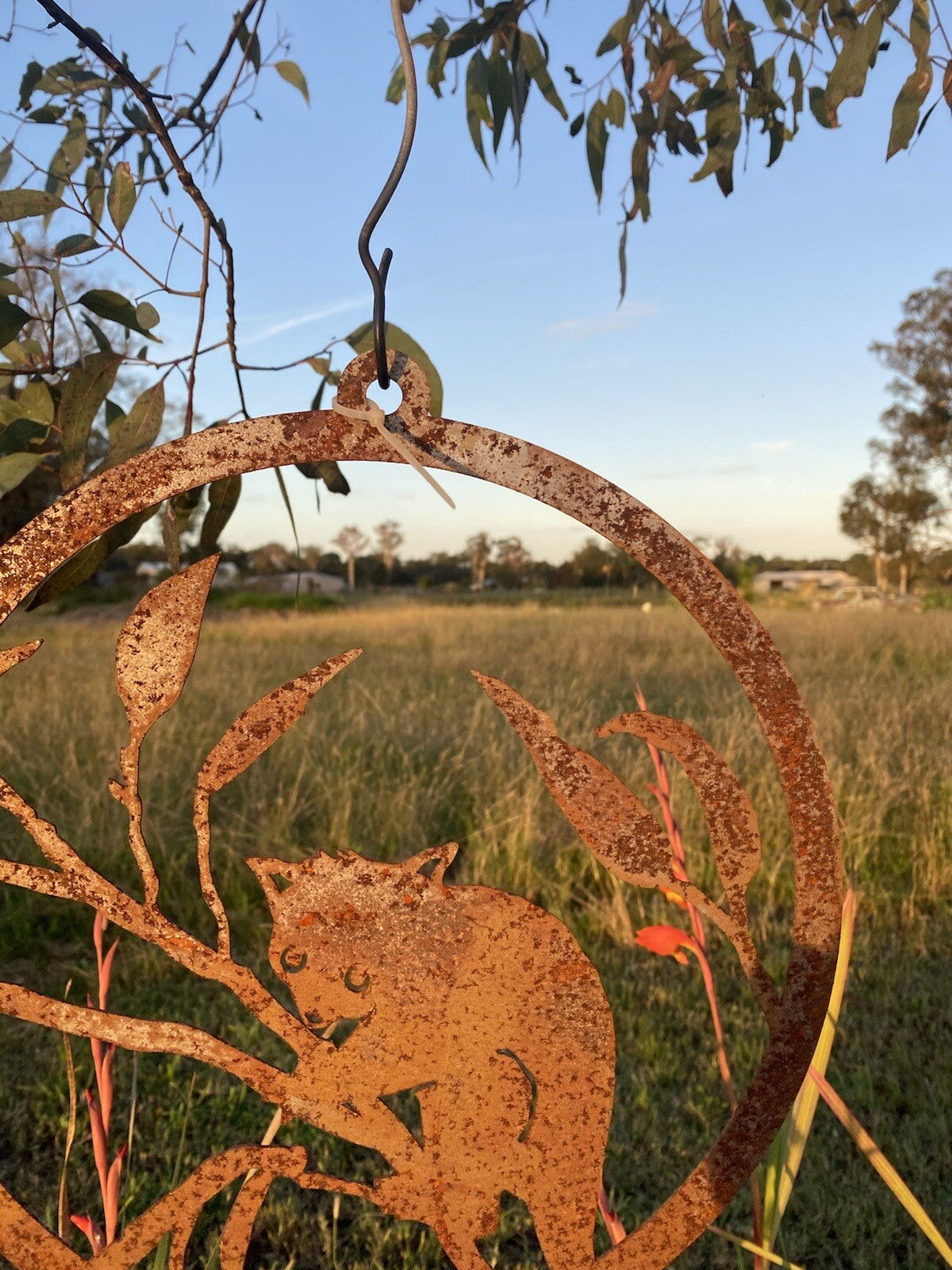 Possum Round Rust Corten Steel Metal Garden Wall Art Hanging Ring Home 28cm D