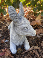 Donkey Jack Arse Statue Farm  Ornament Animal Concrete Garden Australian Made