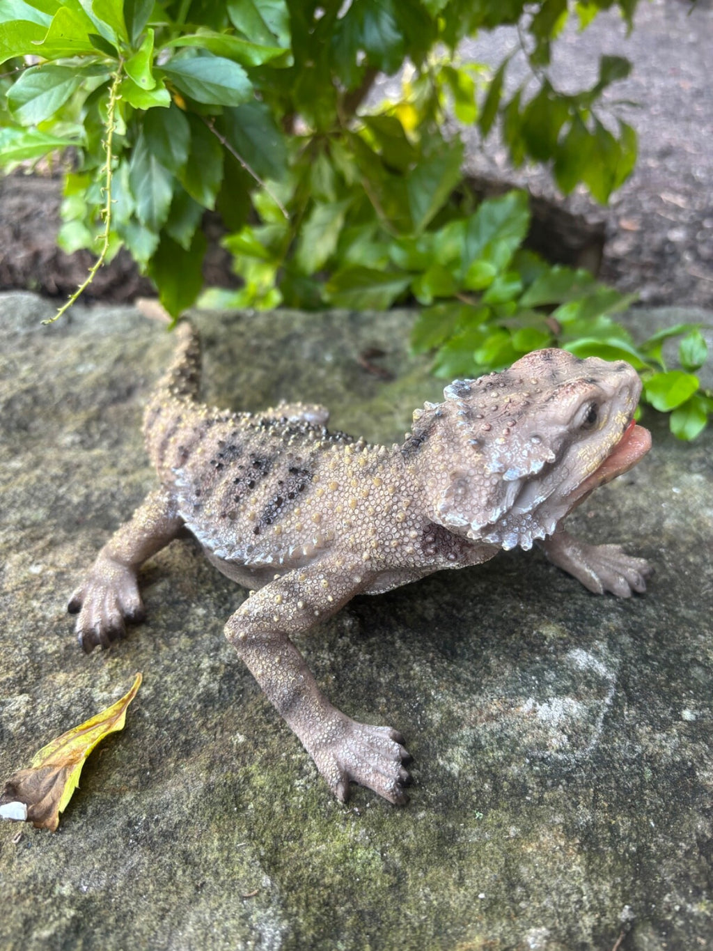 Bearded Dragon Lizard Garden Statue Ornament Figurine