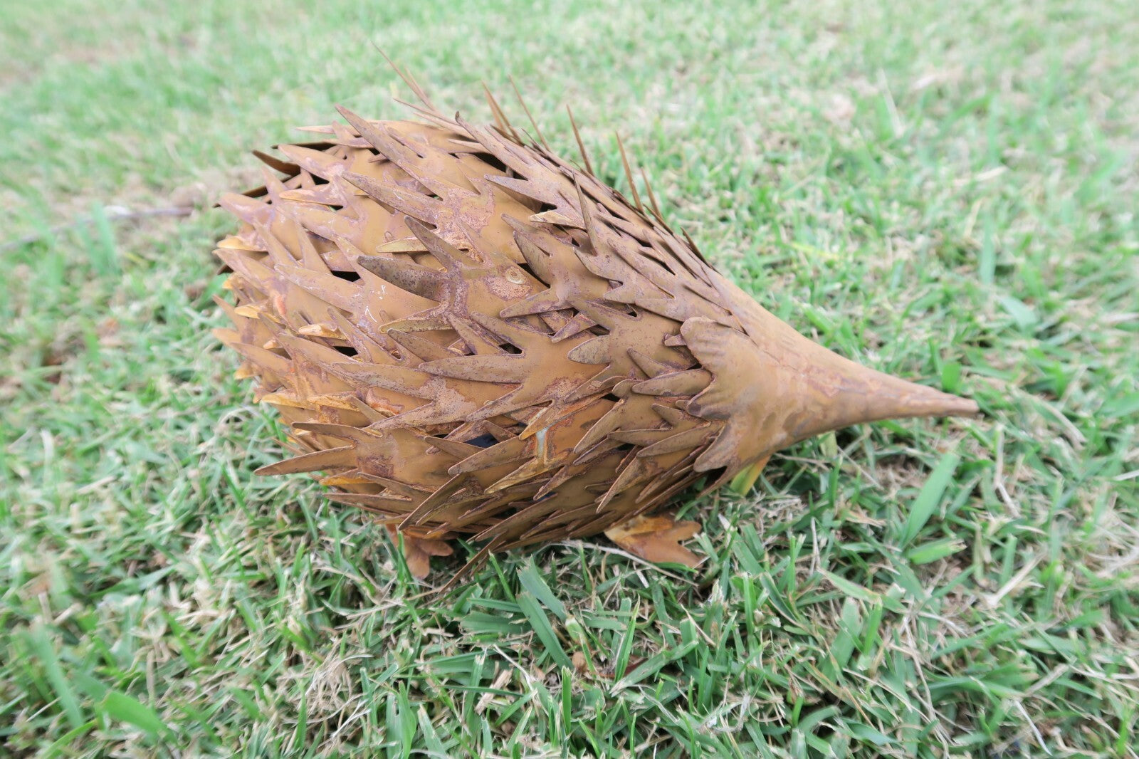 Echidna Statue Australian Native Wildlife Metal Ornament Garden Lawn Set of 2