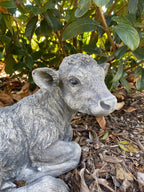 Cow Calf Statue Ornament Farm Animal Concrete Large Garden Australian Made