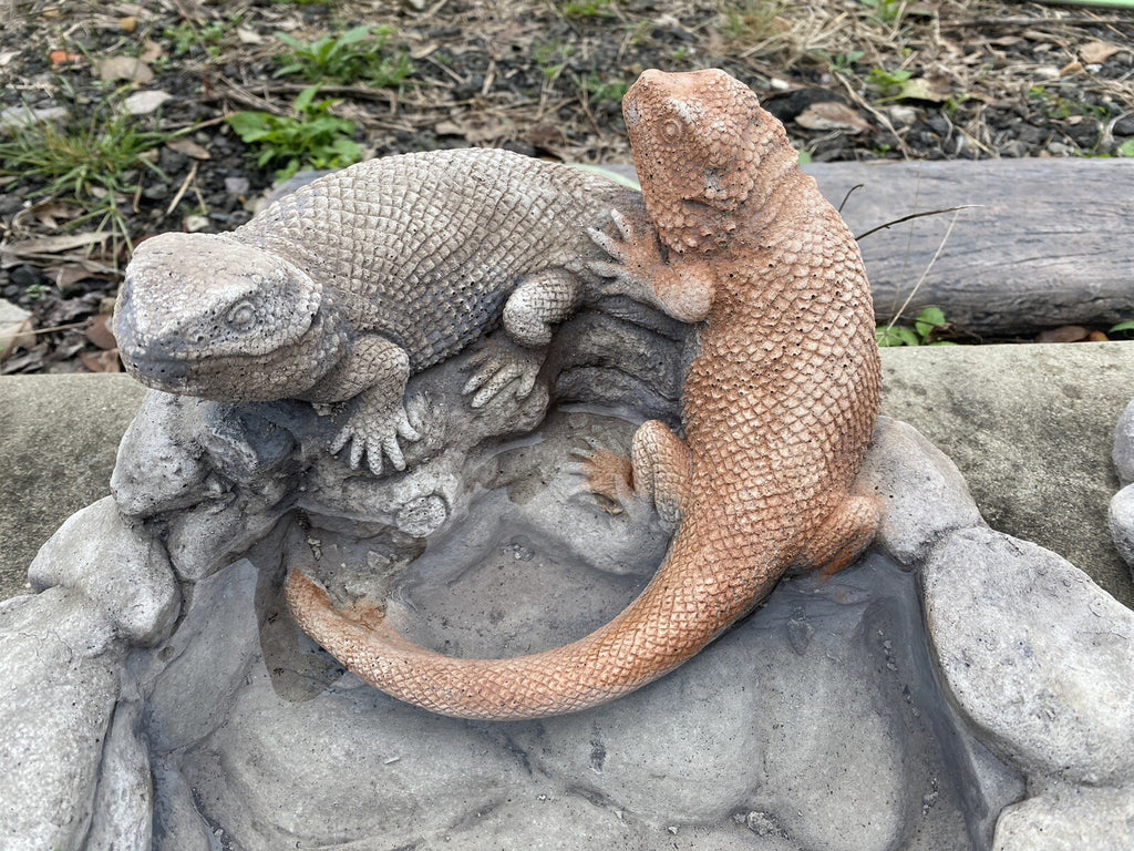 Bearded Dragon Bird Bee Bath Feeder Concrete Garden Statue Australian Made
