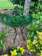 Wild Bird Bath Feeder Food Station Garden Ornaments Green Frog Ladybug Bee Water